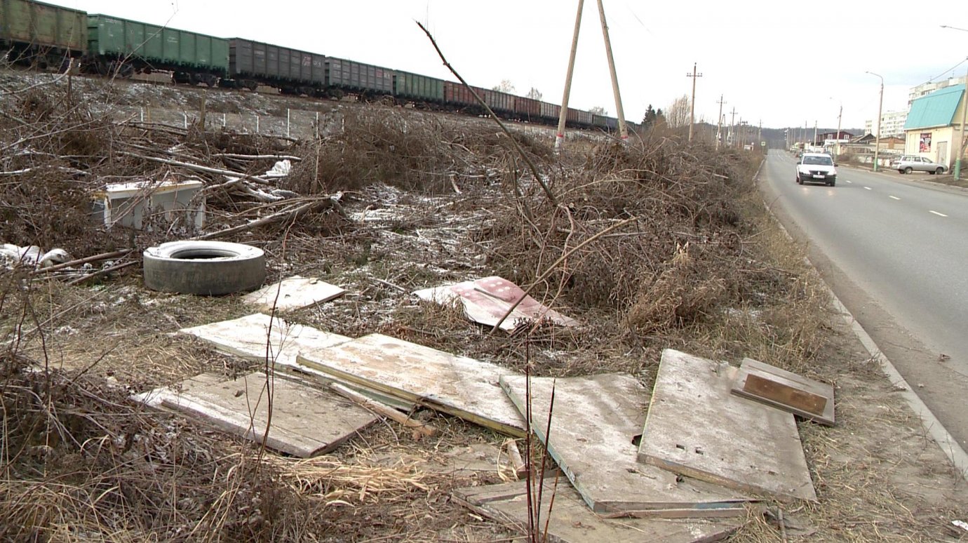 У железной дороги в Арбекове скопились горы веток и мусор