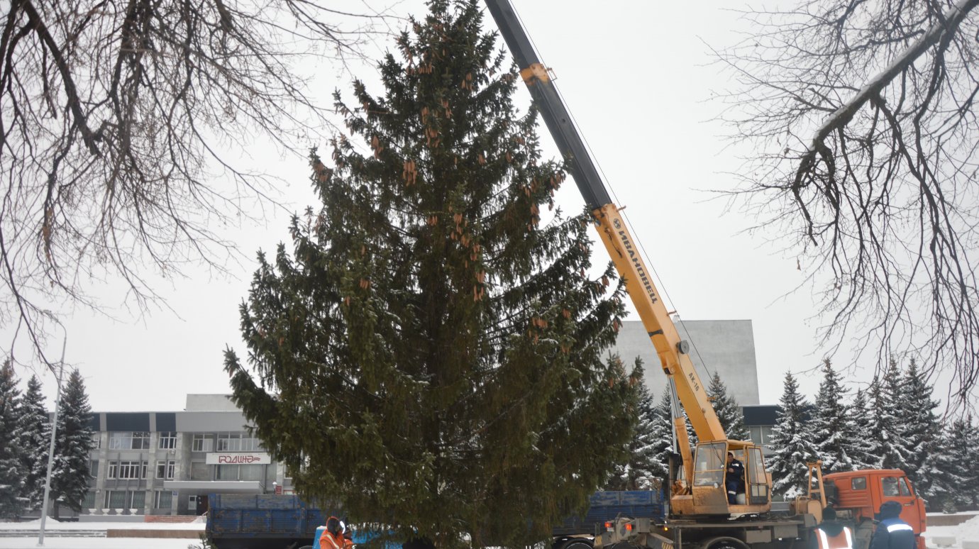 На центральной площади Кузнецка появилась новогодняя елка