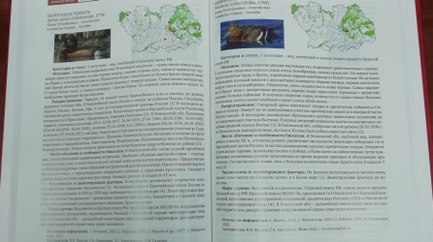 В Красной книге Пензенской области стало больше редких животных