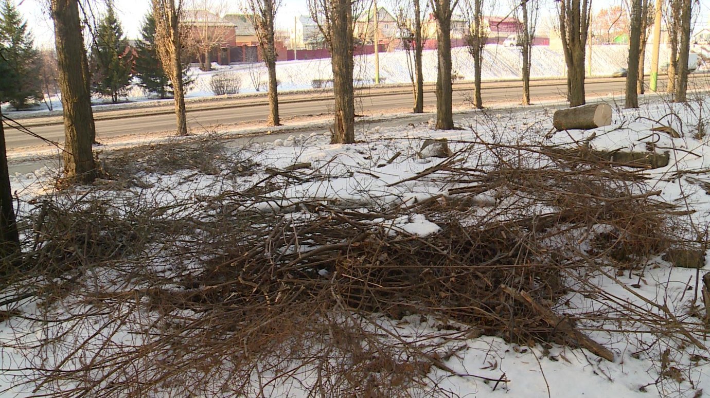 На улице 8 Марта с осени лежат остатки спиленных деревьев