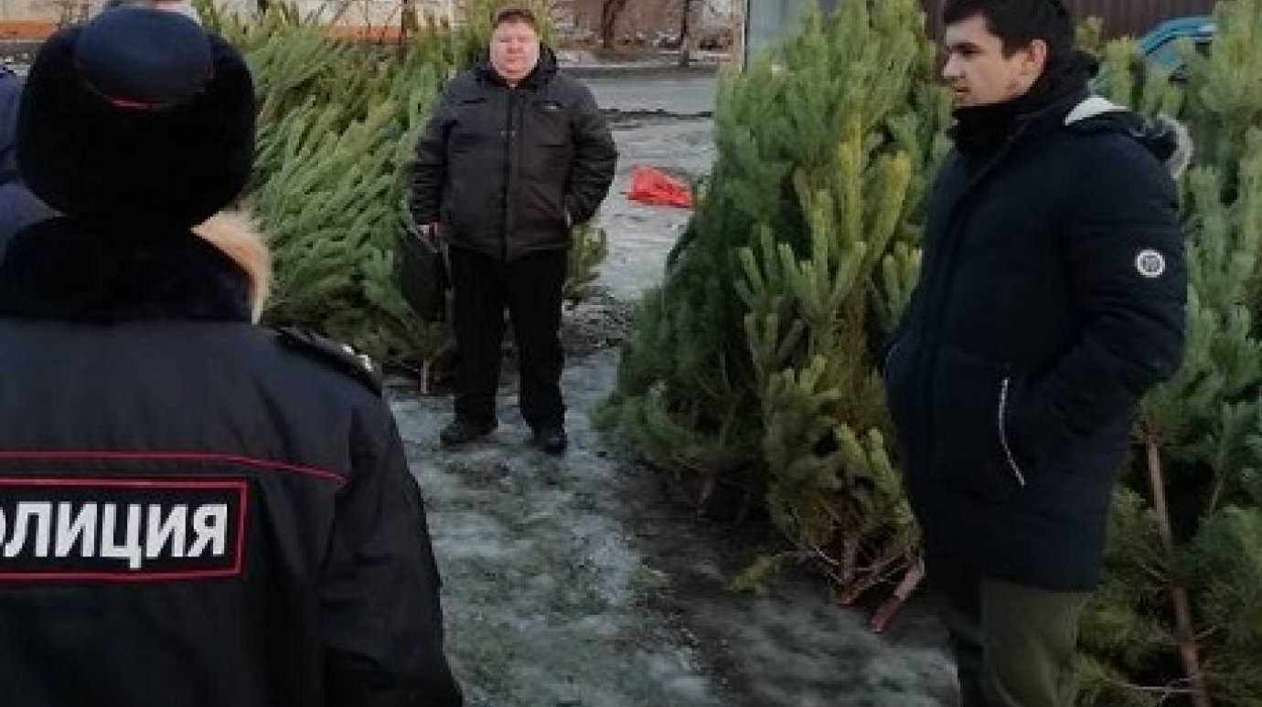В Пензе нашли точки нелегальной продажи новогодних деревьев