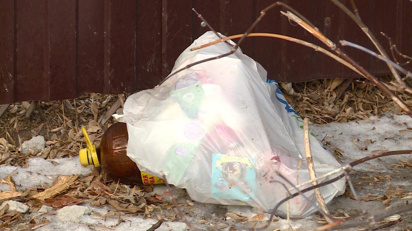 Жители улицы Кулибина не доносят мусор до контейнера