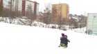 Больше всех обрадовались выпавшему в Пензе снегу дети