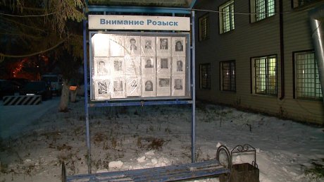Пензенцам напомнили, как вести себя с телефонными мошенниками