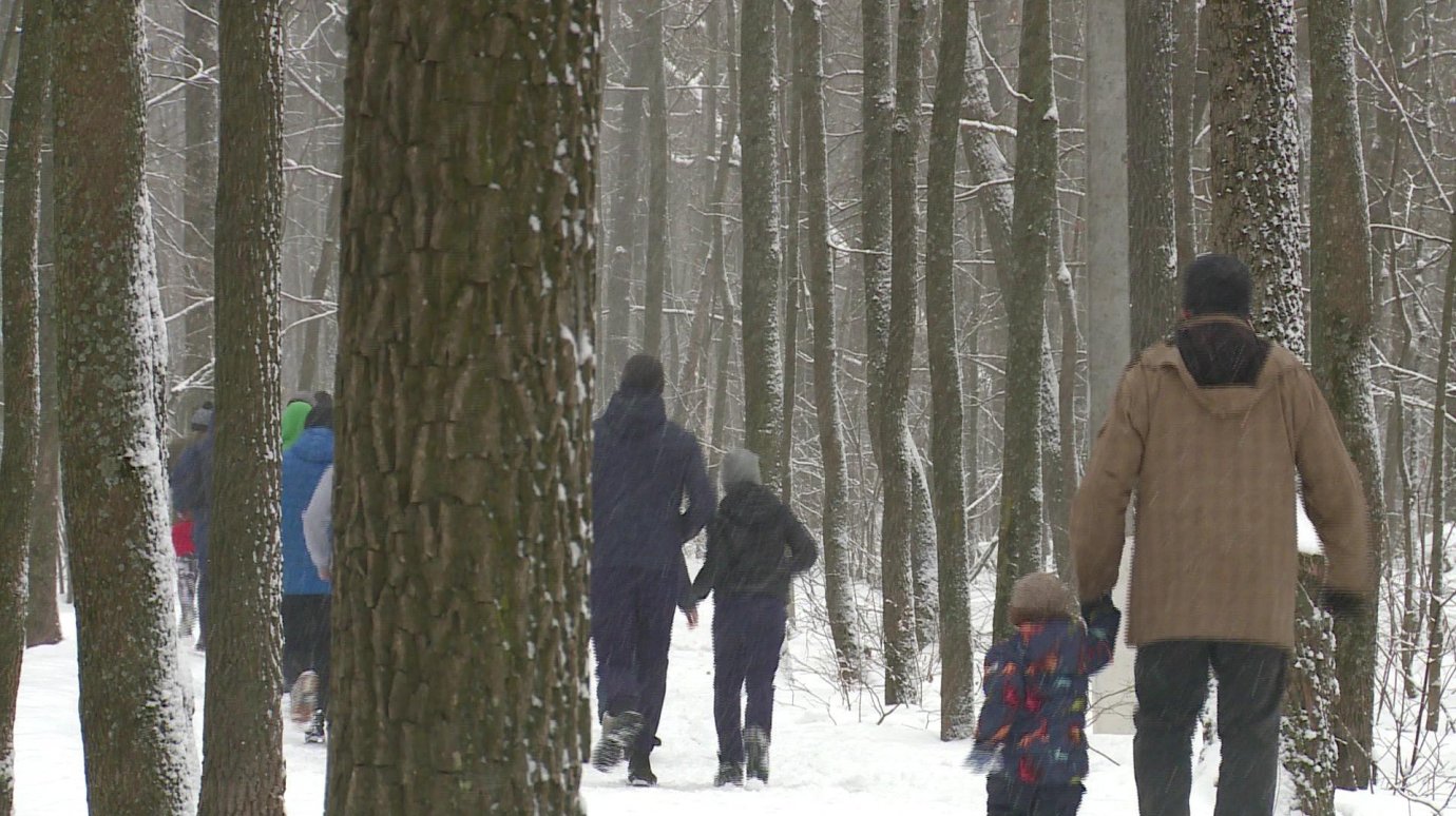 Пензенцы пробежали 12 километров в снегопад