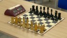 Начинающие пензенские шахматисты сразились в «Волшебном королевстве»