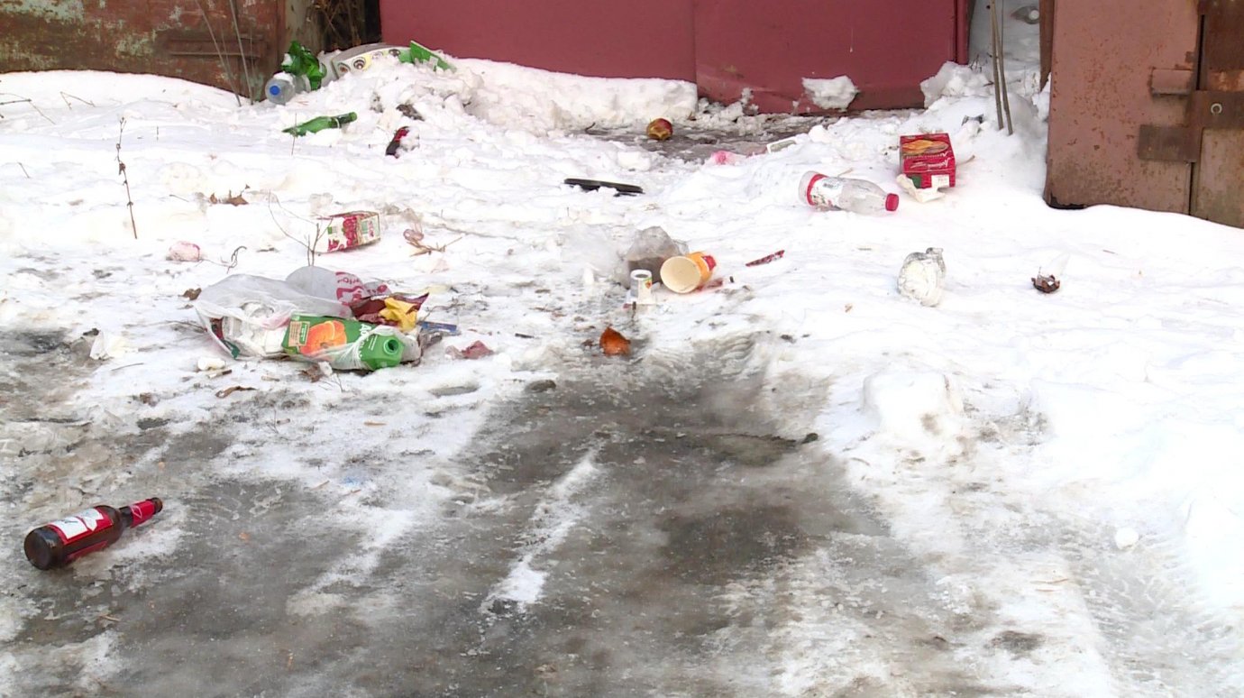 Жители ул. Суворова копят мусор между старыми гаражами