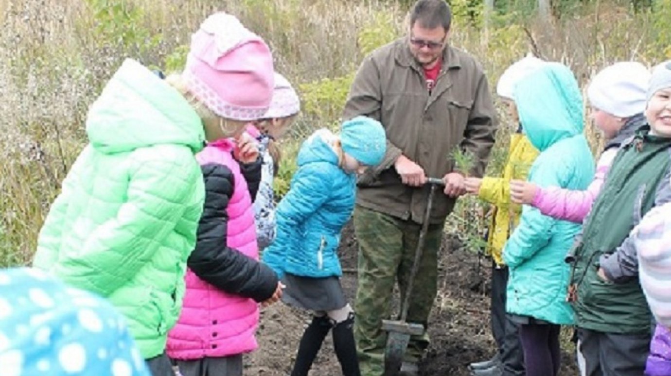 В Пензенской области подвели итоги работы школьных лесничеств