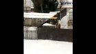 В Кузнецке креативно подошли к вопросу вывоза снега