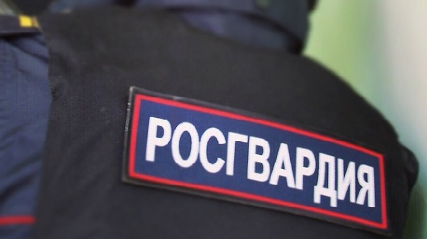 В Пензе школы и детсады приглашают охранников работать за 100 рублей в час