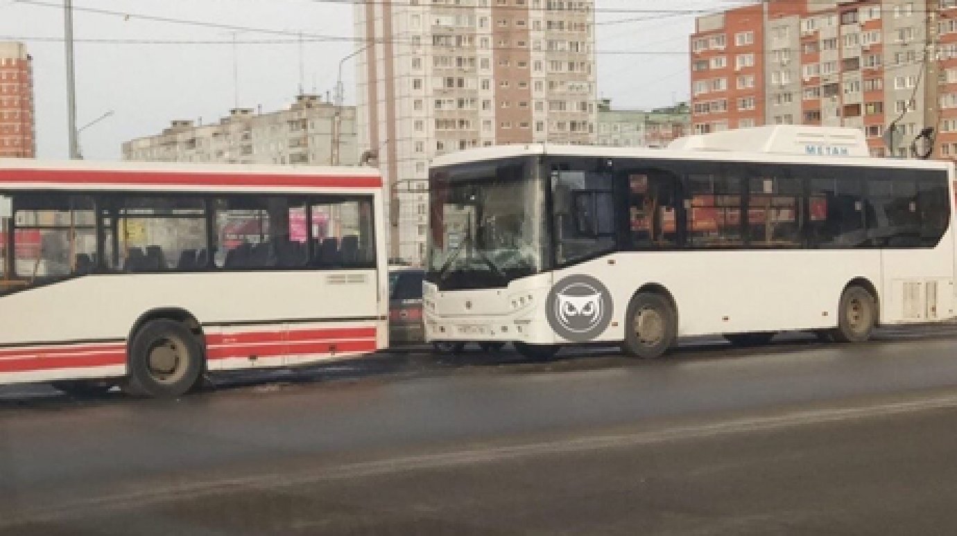 На проспекте Строителей столкнулись два автобуса