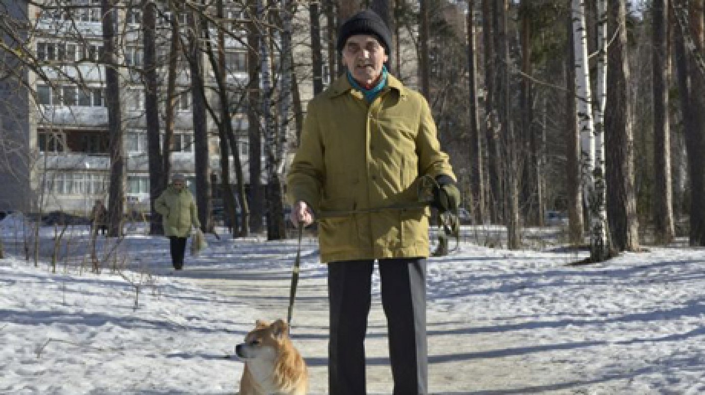 Житель Заречного во время прогулки с собакой спас человека