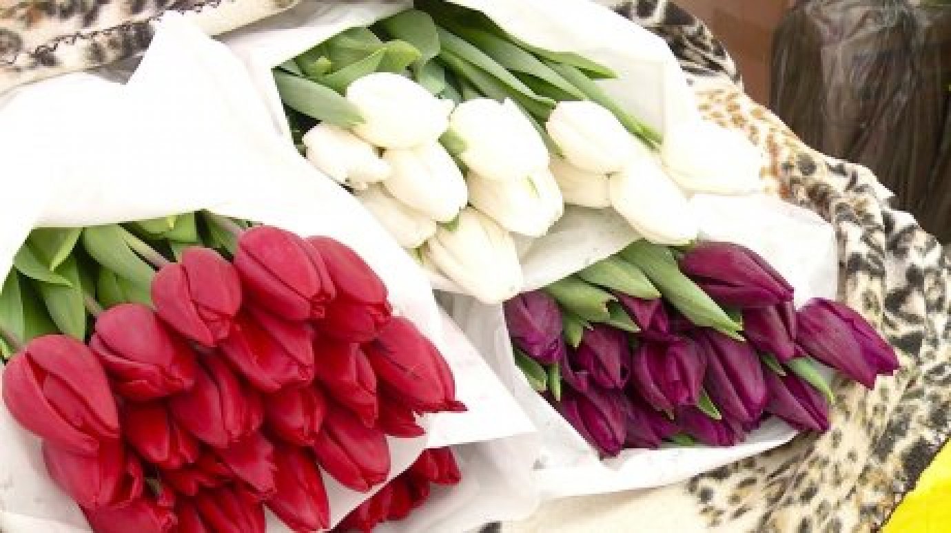 В преддверии 8 Марта в Пензе откроется несколько цветочных ярмарок