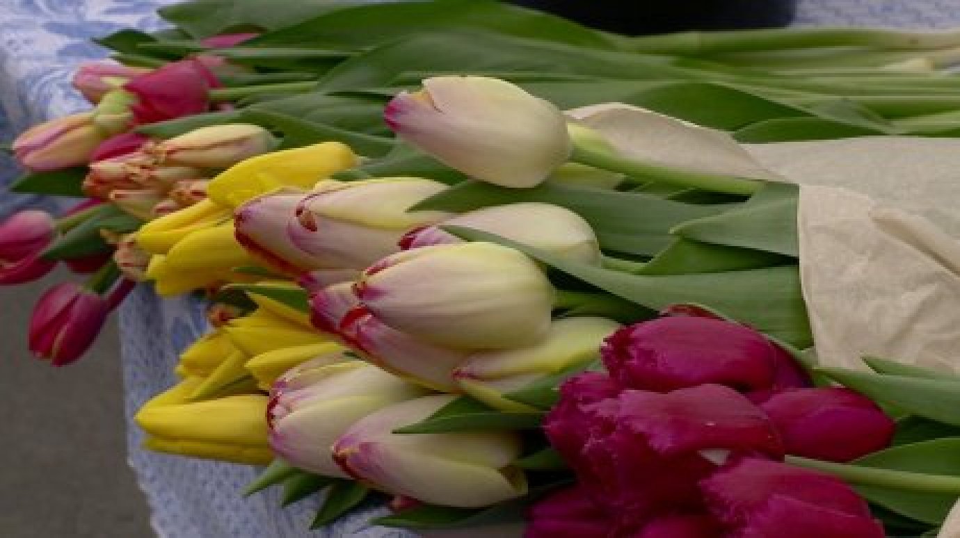 Пензенцам объяснили, как выбирать живые цветы к празднику