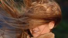 Жителей Пензенской области предупредили о сильном ветре