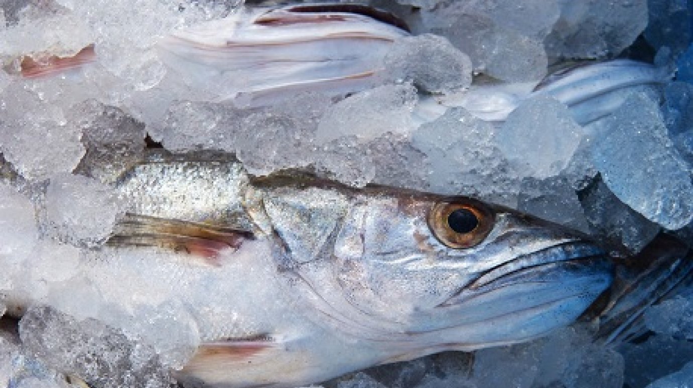 В Пензенской области забраковали более 600 кг рыбы