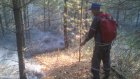 В Пензенской области подготовились к лесным пожарам