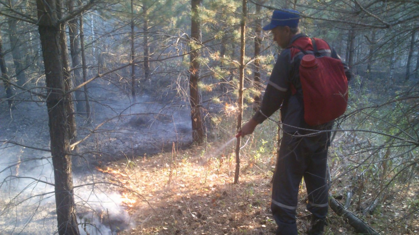 В Пензенской области подготовились к лесным пожарам