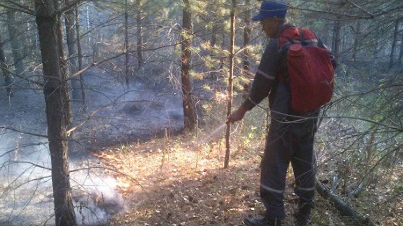 В Лопатинском районе за беспечность с огнем грозит двойной штраф