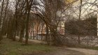 Упавшие деревья перекрыли путь пешеходам на Рахманинова, 27