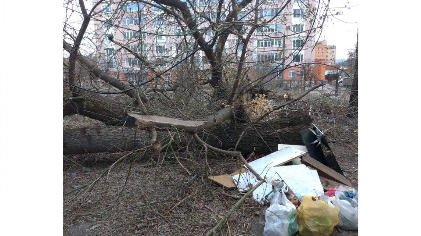 Пензячка пожаловалась на свалку из упавших деревьев в центре города