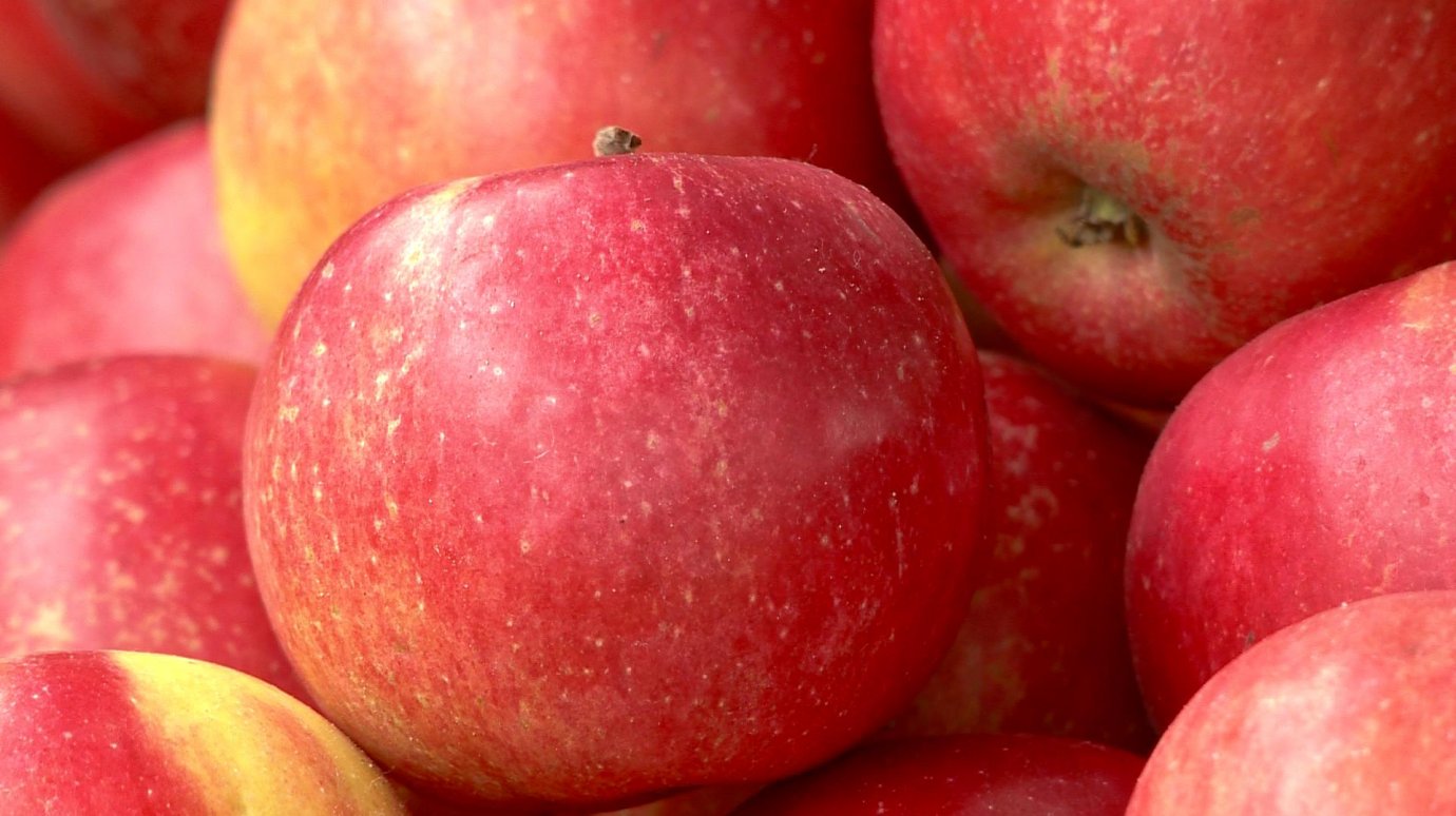 В Пензе на рынках и в магазинах подорожали яблоки