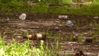 Обитатели бывших общежитий на пр-те Победы бросают мусор из окон