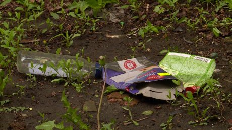 Обитатели бывших общежитий на пр-те Победы бросают мусор из окон