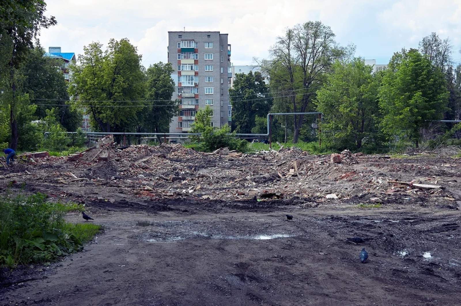 Фото в заводском районе минска