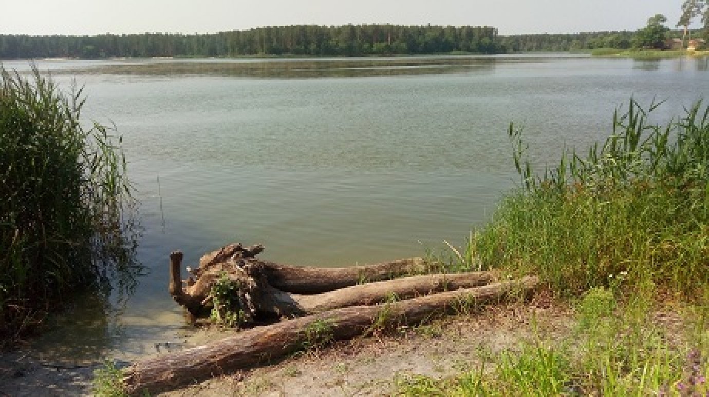 В Пензенской области детям запретят находиться у водоемов без взрослых