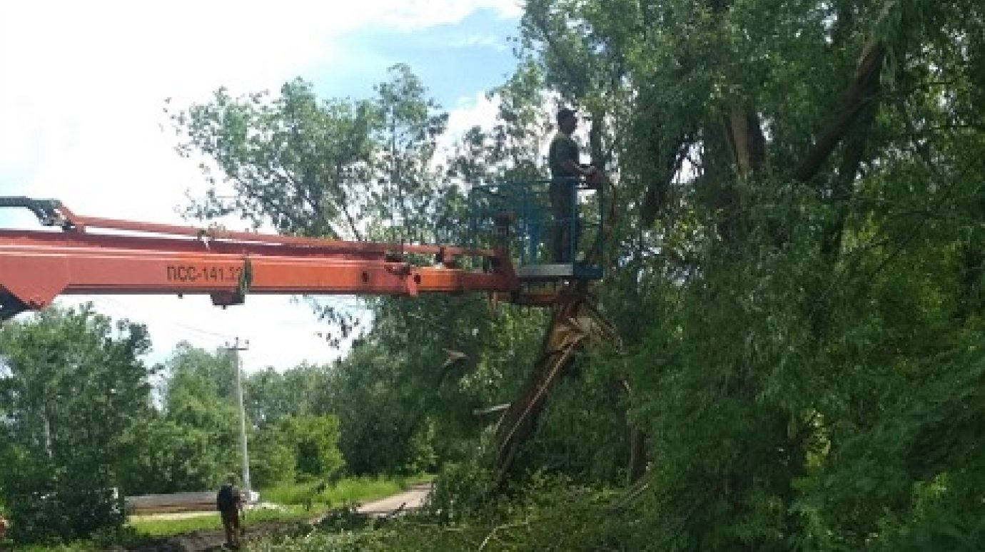В Пензе коммунальщики убрали около 40 поваленных ураганом деревьев