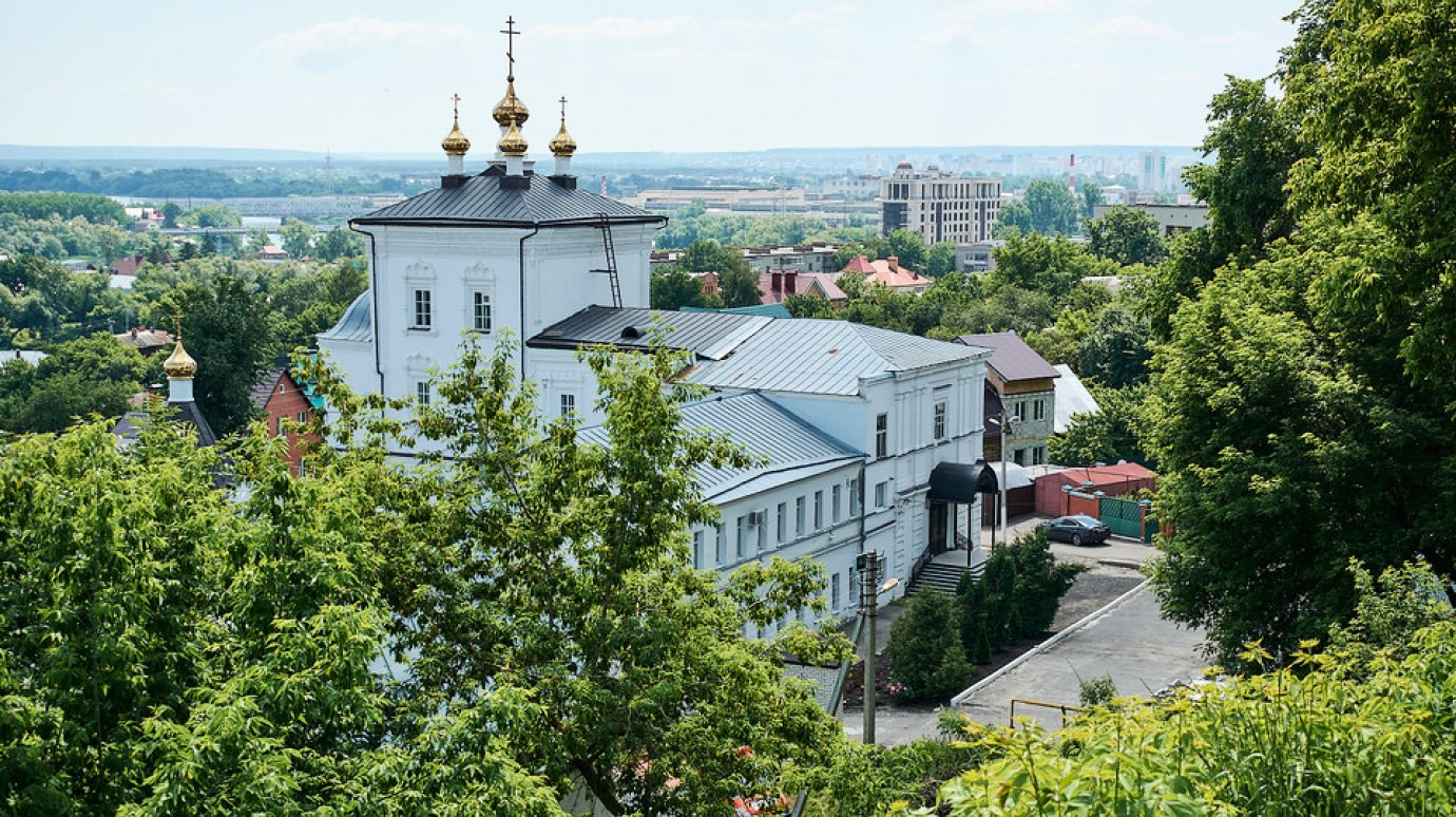 Жили пенза. Пенза что растёт. Пенза хохломататубарбер.