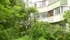 На проспекте Строителей с апреля не могут опилить поломанные деревья