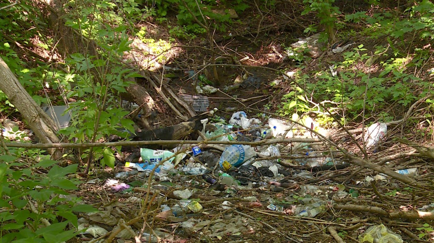 У ручья рядом с Ульяновской скопились залежи отходов
