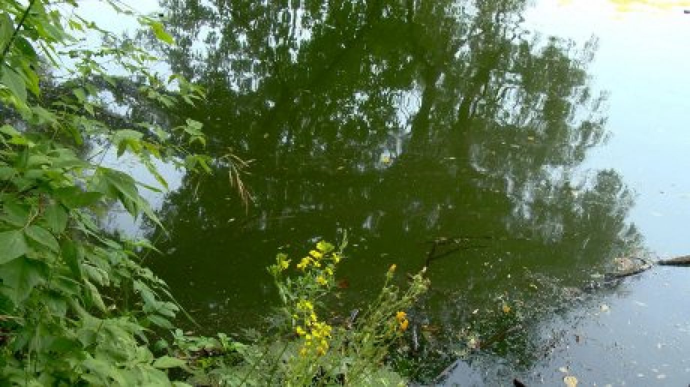 В поселке Беково в реке нашли тело утонувшего мужчины