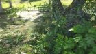 В парке в селе Лопатино появилось озеро из нечистот