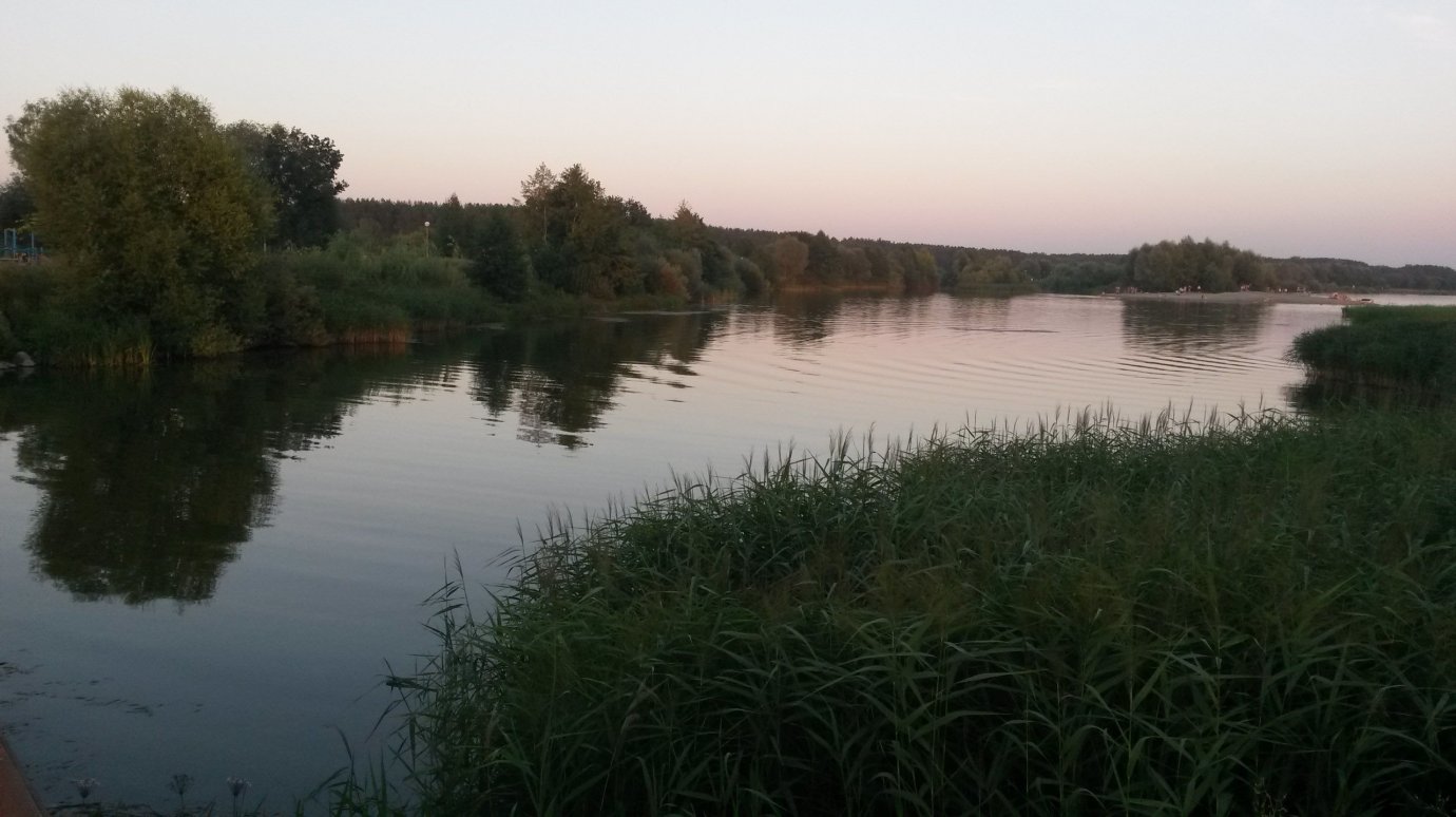 В Пензенской области с начала купального сезона утонули 33 человека