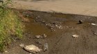 Вдоль дороги на пр-те Строителей после ремонта стоит вода