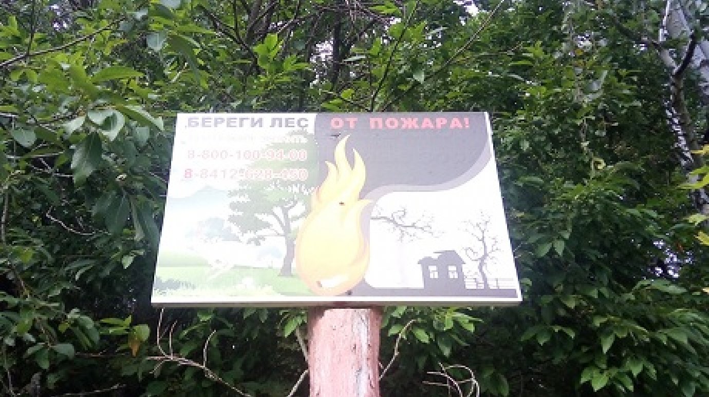 В Земетчинском районе пожар уничтожил 0,29 га леса
