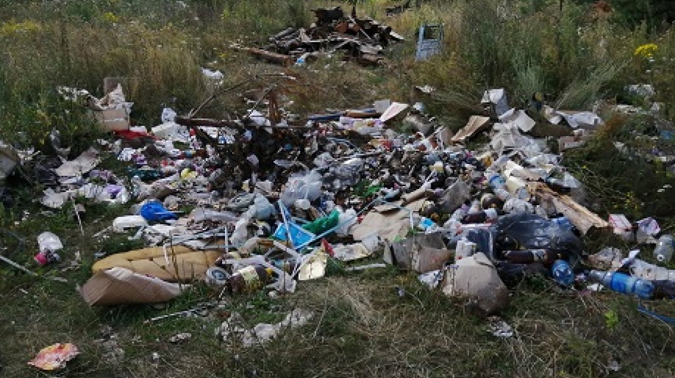 В Сосновоборске незаконно сваливают мусор и сливают жидкие отходы