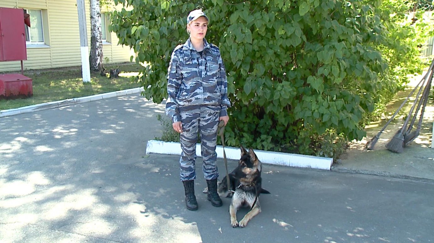 Полицейский-кинолог из Кузнецка рассказала о специфике работы