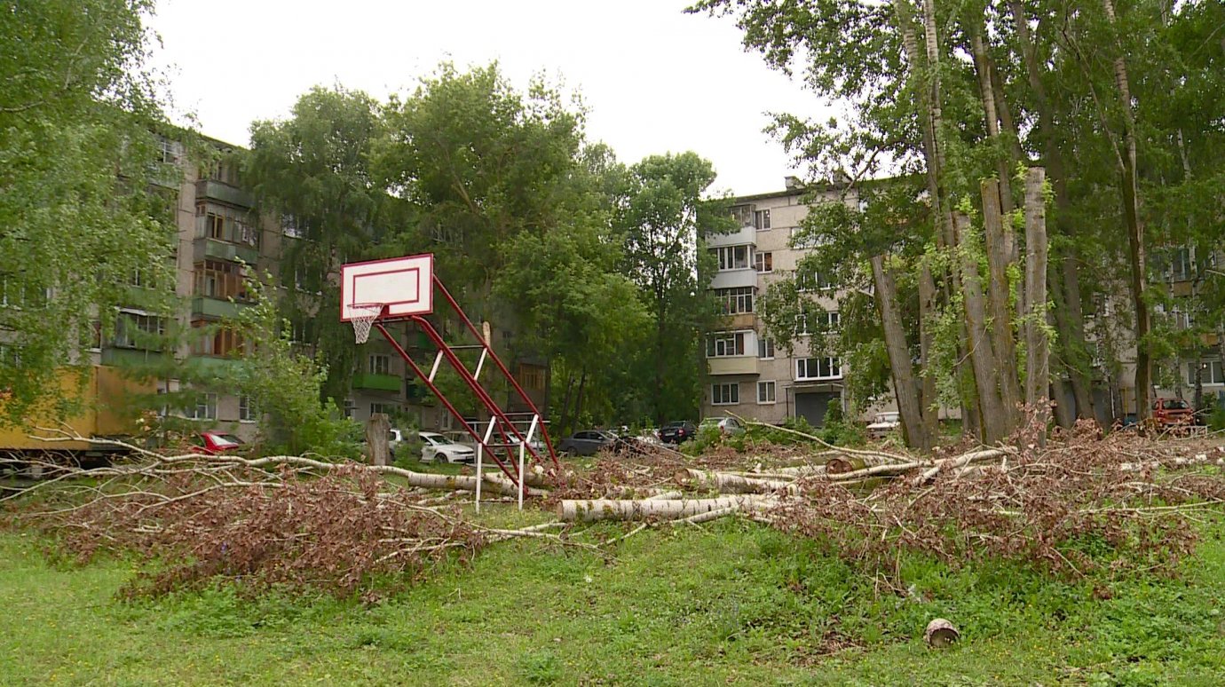 Арбековский двор стал свалкой из веток и мусора