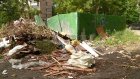 Жители проспекта Победы пожаловались на уборку мусора
