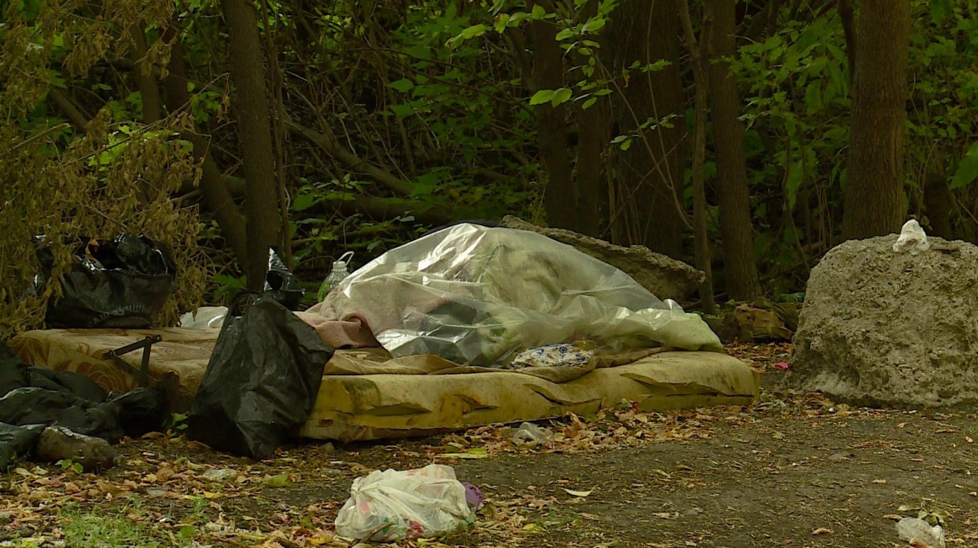 В Пензе собутыльники оставили бездомного в кустах