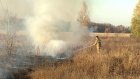 В Нечаевке в нескольких местах одновременно загорелась трава