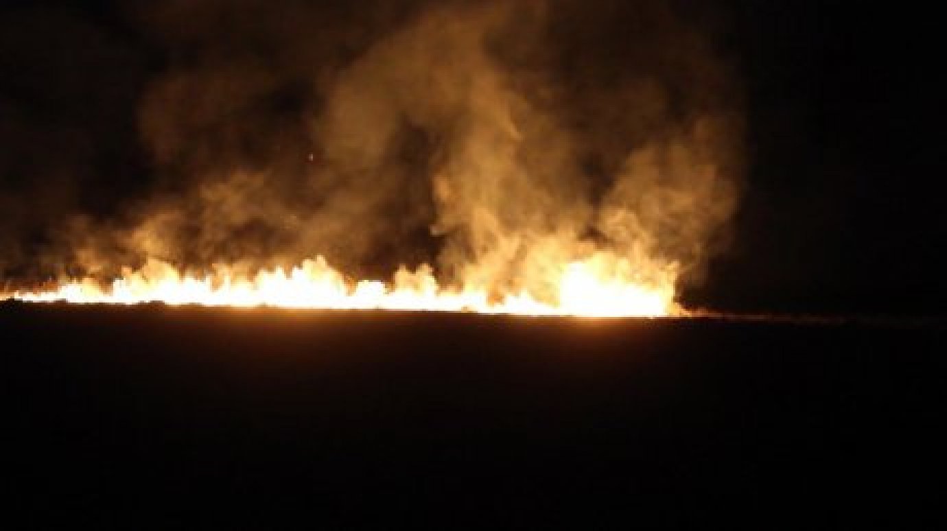 За сутки в области зарегистрировали более 40 случаев возгорания травы