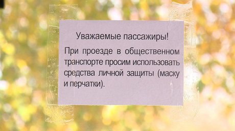 В Пензе ежедневно будут проверять санобработку транспорта