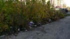 Пензенцы стали выбрасывать мусор в бурьян на Ново-Казанской