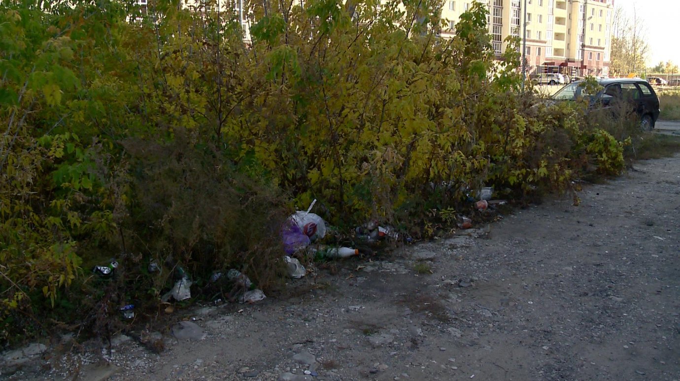 Пензенцы стали выбрасывать мусор в бурьян на Ново-Казанской