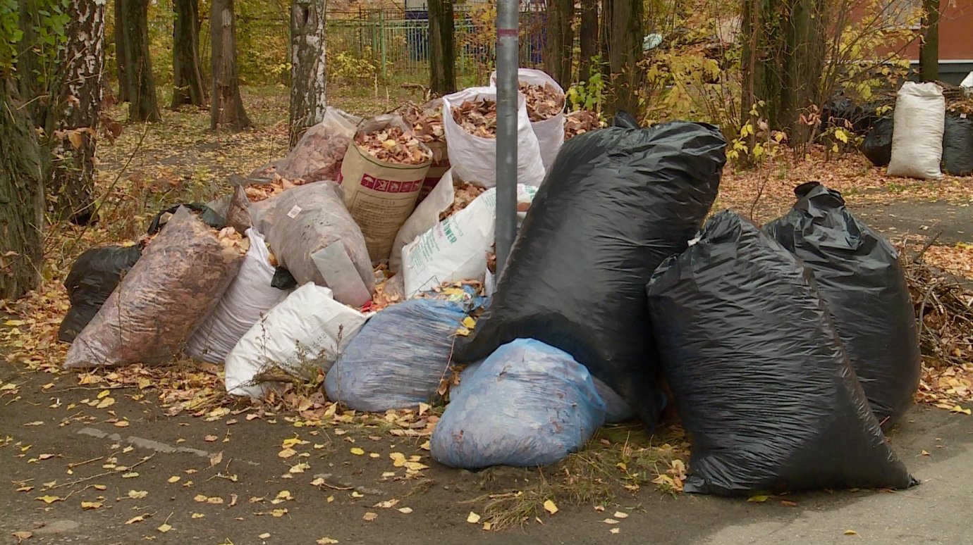 С улицы Ударной не могут вывезти собранные листья и мусор